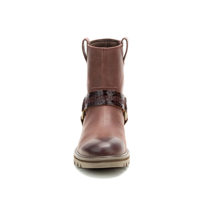 p312311-ycc-5-category-product-image